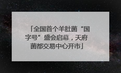 全国首个羊肚菌“国字号”盛会启幕，天府菌都交易中心开市