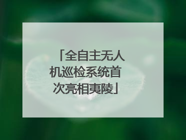全自主无人机巡检系统首次亮相夷陵