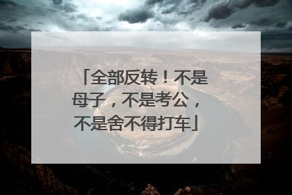 全部反转！不是母子，不是考公，不是舍不得打车
