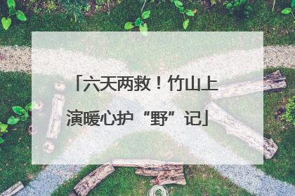 六天两救！竹山上演暖心护“野”记