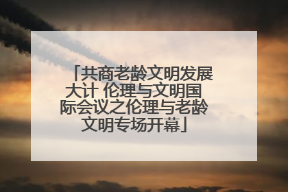 共商老龄文明发展大计 伦理与文明国际会议之伦理与老龄文明专场开幕