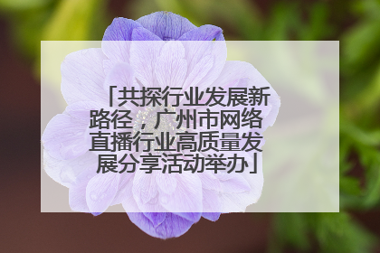 共探行业发展新路径，广州市网络直播行业高质量发展分享活动举办