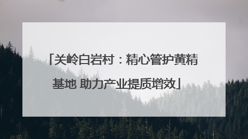 关岭白岩村：精心管护黄精基地 助力产业提质增效