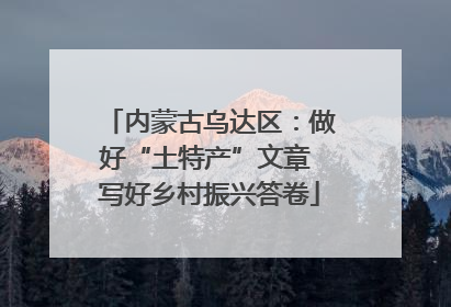内蒙古乌达区：做好“土特产”文章 写好乡村振兴答卷