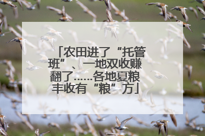 农田进了“托管班”、一地双收赚翻了……各地夏粮丰收有“粮”方