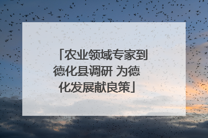 农业领域专家到德化县调研 为德化发展献良策