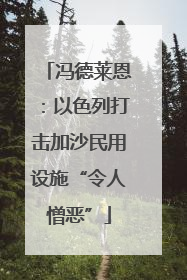 冯德莱恩：以色列打击加沙民用设施“令人憎恶”