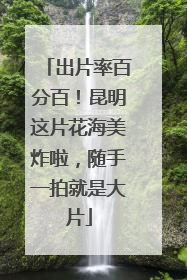 出片率百分百！昆明这片花海美炸啦，随手一拍就是大片