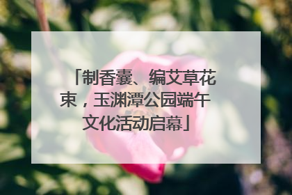 制香囊、编艾草花束，玉渊潭公园端午文化活动启幕