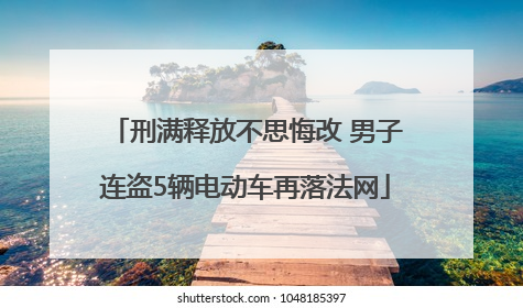 刑满释放不思悔改 男子连盗5辆电动车再落法网