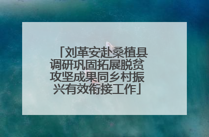 刘革安赴桑植县调研巩固拓展脱贫攻坚成果同乡村振兴有效衔接工作