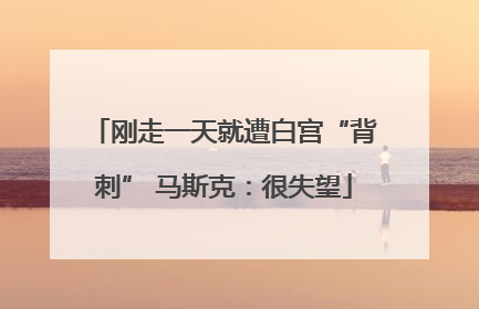 刚走一天就遭白宫“背刺” 马斯克：很失望