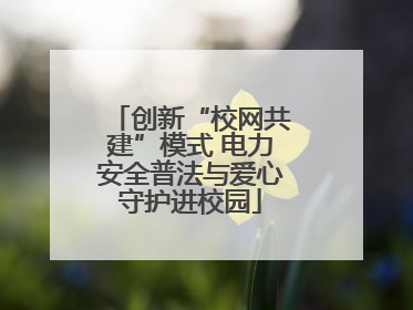 创新“校网共建”模式 电力安全普法与爱心守护进校园
