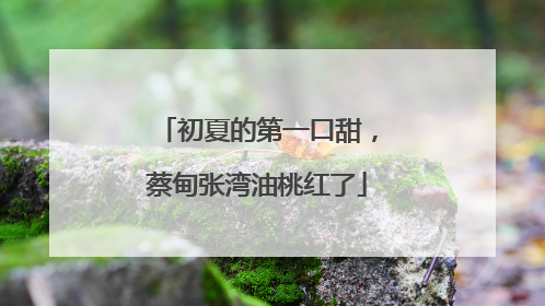 初夏的第一口甜，蔡甸张湾油桃红了