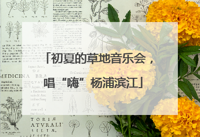 初夏的草地音乐会，唱“嗨”杨浦滨江