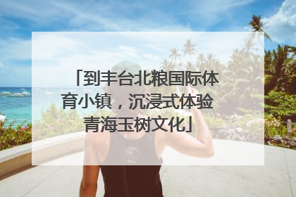 到丰台北粮国际体育小镇，沉浸式体验青海玉树文化