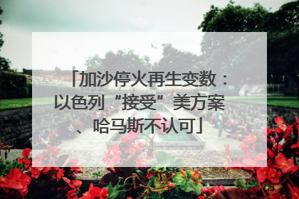 加沙停火再生变数：以色列“接受”美方案、哈马斯不认可