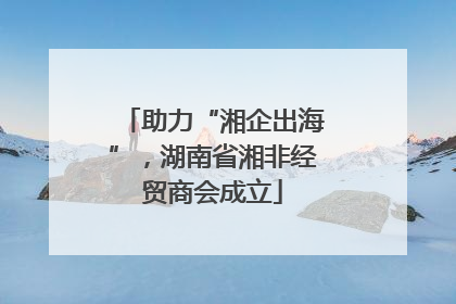 助力“湘企出海”，湖南省湘非经贸商会成立