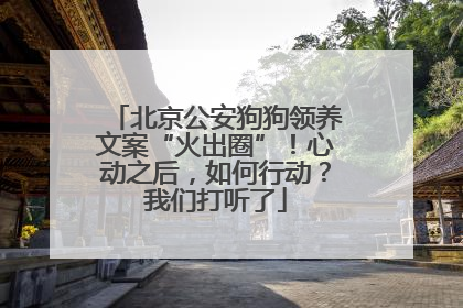 北京公安狗狗领养文案“火出圈”！心动之后，如何行动？我们打听了