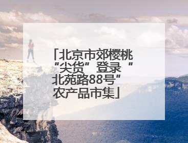 北京市郊樱桃“尖货”登录“北苑路88号”农产品市集