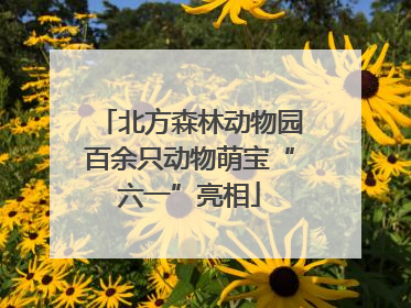 北方森林动物园百余只动物萌宝“六一”亮相