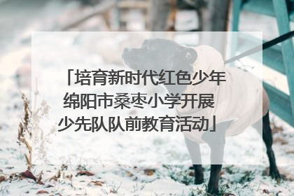 培育新时代红色少年 绵阳市桑枣小学开展少先队队前教育活动