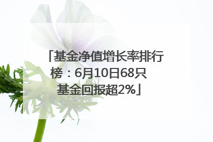 基金净值增长率排行榜：6月10日68只基金回报超2%