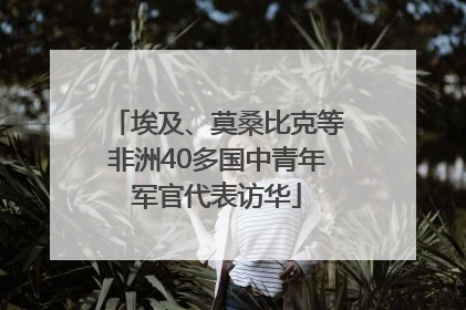 埃及、莫桑比克等非洲40多国中青年军官代表访华