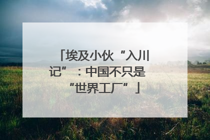 埃及小伙“入川记”：中国不只是“世界工厂”