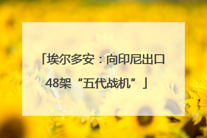 埃尔多安：向印尼出口48架“五代战机”