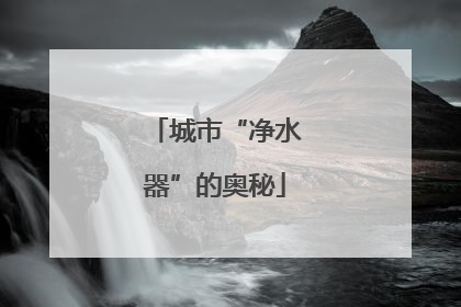 城市“净水器”的奥秘