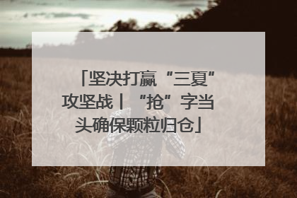 坚决打赢“三夏”攻坚战丨“抢”字当头确保颗粒归仓
