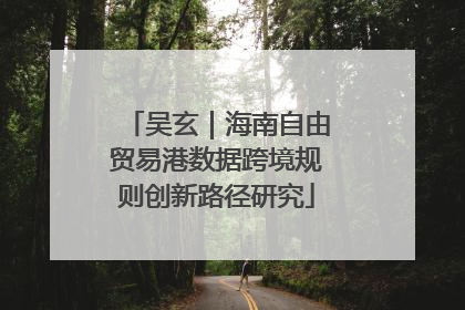 吴玄｜海南自由贸易港数据跨境规则创新路径研究