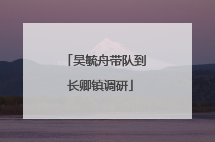 吴毓舟带队到长卿镇调研