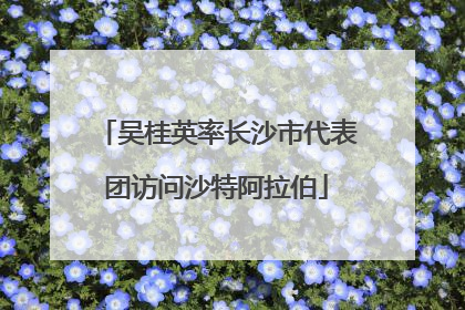 吴桂英率长沙市代表团访问沙特阿拉伯