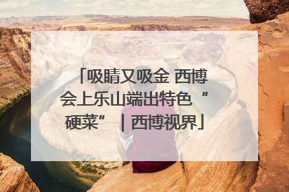 吸睛又吸金 西博会上乐山端出特色“硬菜”｜西博视界