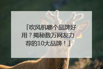 吹风机哪个品牌好用？揭秘数万网友力荐的10大品牌！