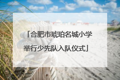合肥市琥珀名城小学举行少先队入队仪式