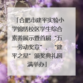 合肥市建平实验小学锦绣校区学生综合素养展示暨首届“五一劳动奖章”、“建平之星”颁奖典礼圆满举办