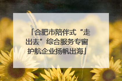 合肥市陪伴式“走出去”综合服务专窗护航企业扬帆出海