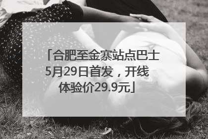 合肥至金寨站点巴士5月29日首发，开线体验价29.9元