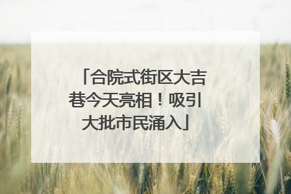 合院式街区大吉巷今天亮相！吸引大批市民涌入
