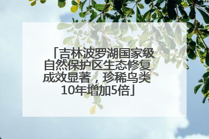 吉林波罗湖国家级自然保护区生态修复成效显著，珍稀鸟类10年增加5倍