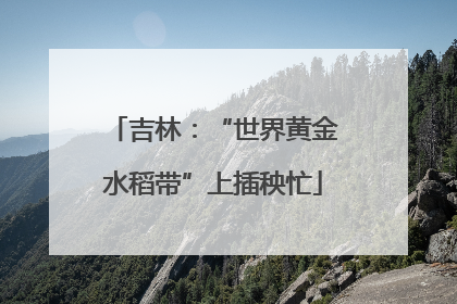 吉林：“世界黄金水稻带”上插秧忙