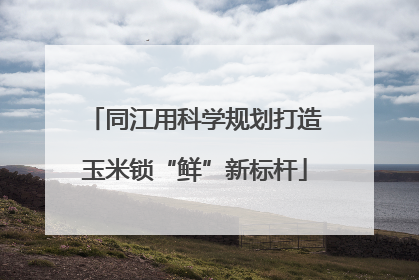 同江用科学规划打造玉米锁“鲜”新标杆