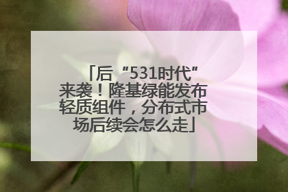 后“531时代”来袭！隆基绿能发布轻质组件，分布式市场后续会怎么走