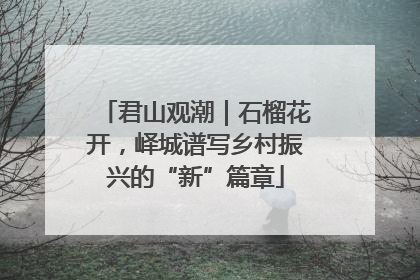 君山观潮｜石榴花开，峄城谱写乡村振兴的“新”篇章