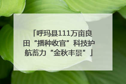 呼玛县111万亩良田“播种收官”科技护航蓄力“金秋丰景”