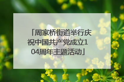 周家桥街道举行庆祝中国共产党成立104周年主题活动