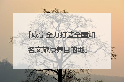 咸宁全力打造全国知名文旅康养目的地